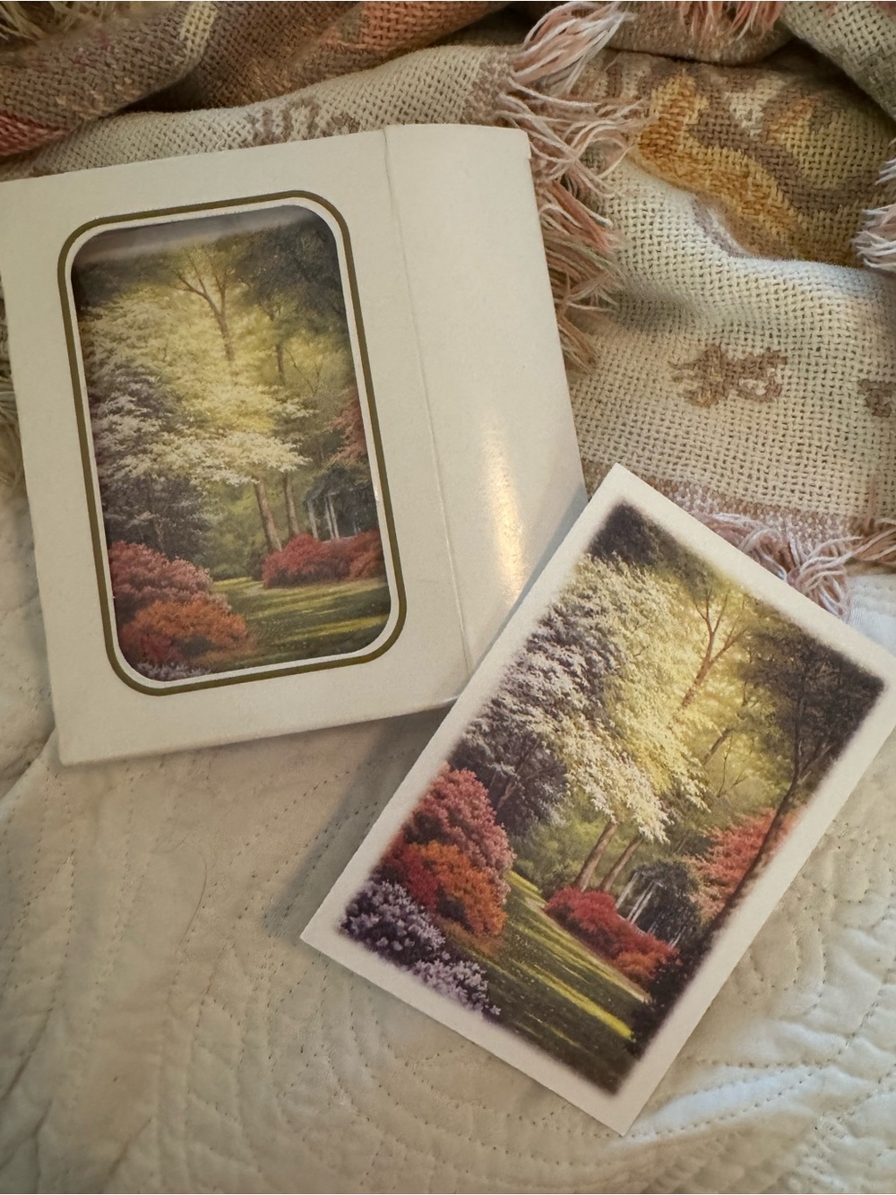 Woodland Greeting Card Set with Tree Landscape Artwork sympathy cards and envelo